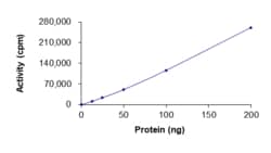 Sino Biological&nbsp;Recombinant Human RET Protein (R749T, GST Tag), Active